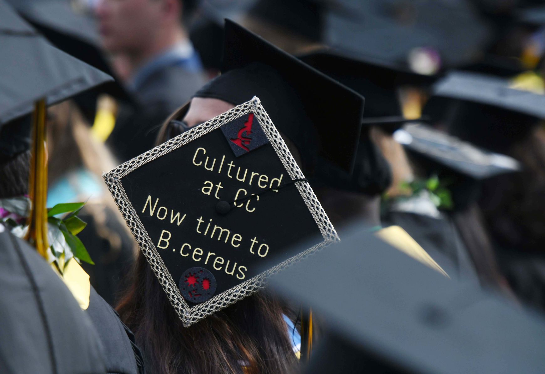 CC Graduation 2019